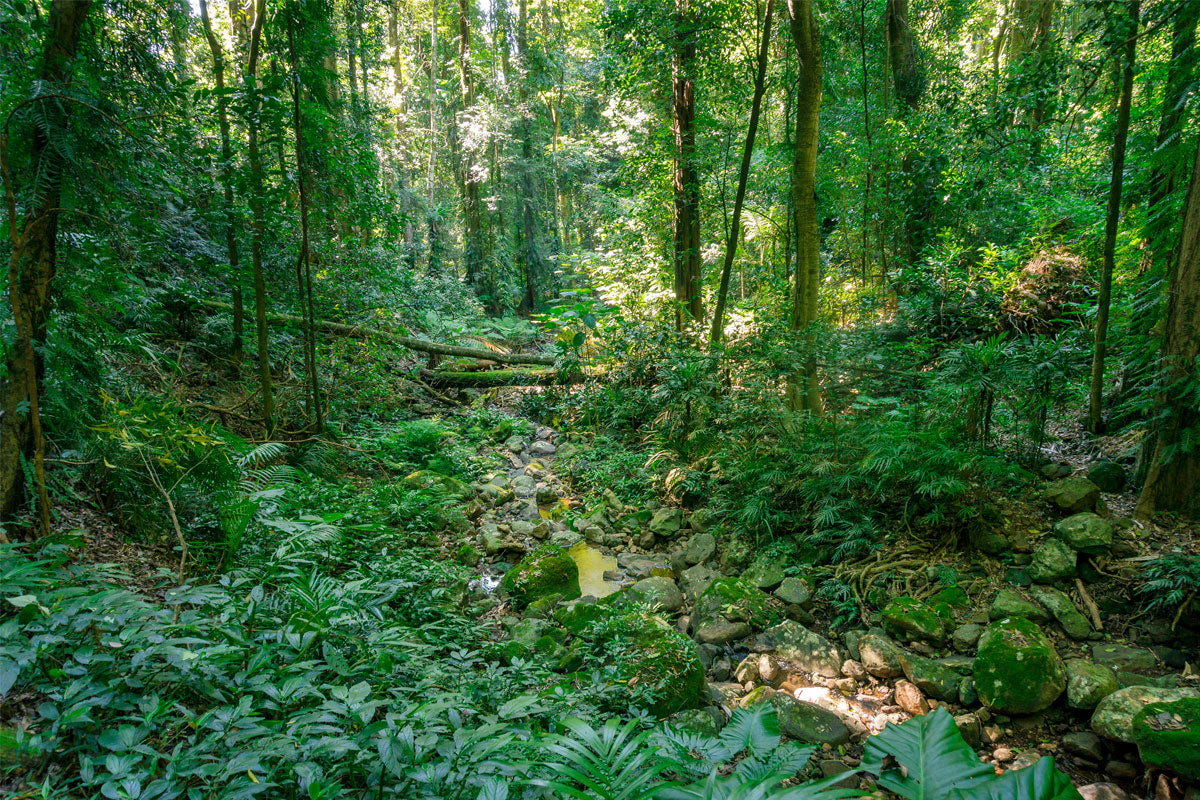 Biodiversité en danger - CLEAN FOR GOOD - WE ARE CLEAN Image