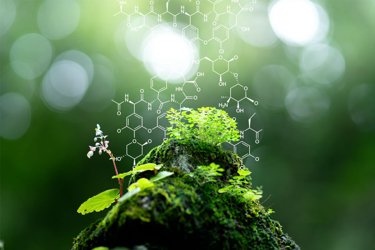 Chimie verte - CLEAN FOR GOOD - WE ARE CLEAN Image