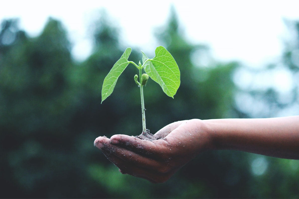 Les droits de la nature - WE ARE CLEAN - CLEAN PLANET Image