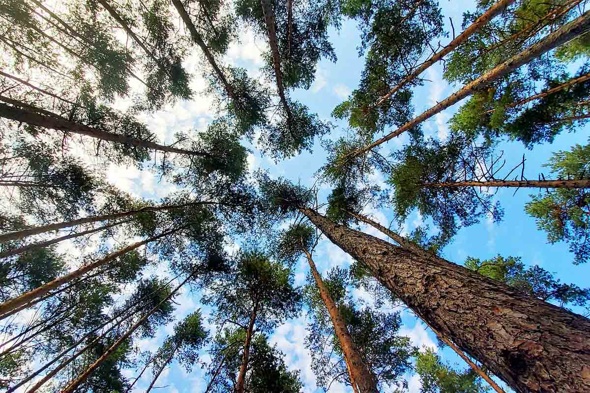 Tout savoir sur l'empreinte écologique - WE ARE CLEAN - CLEAN PLANET Image