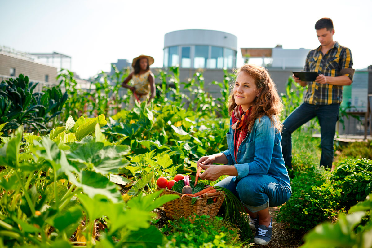permaculture - Clean Planet - We Are Clean Image