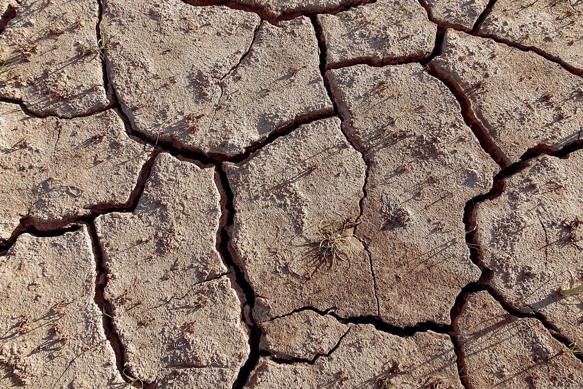 réchauffement climatique - WE ARE CLEAN - CLEAN FOR GOOD Image
