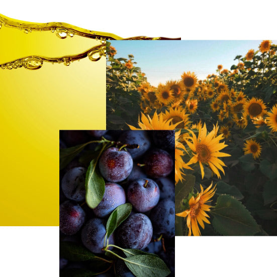 duo of organic vegetable oils