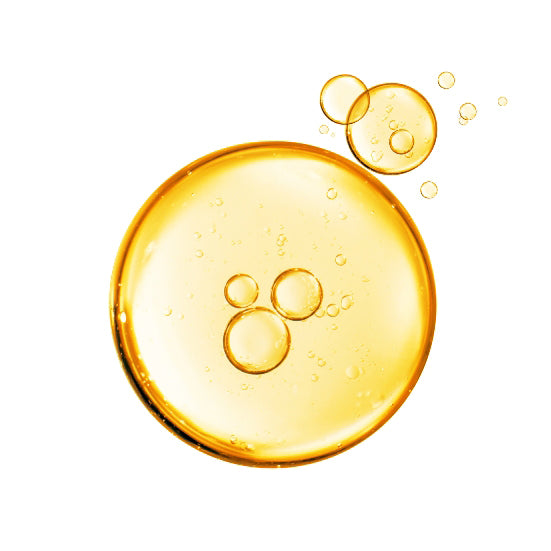 Huile de tournesol oléique bio