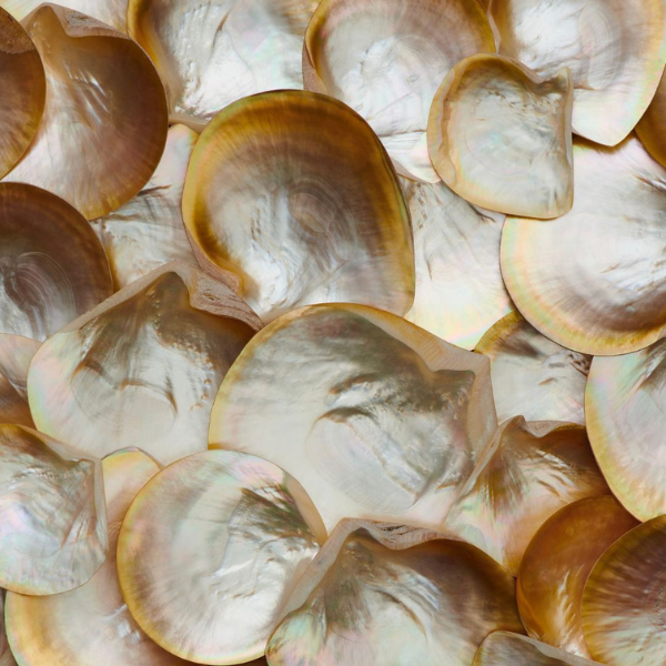 BIONACRE®